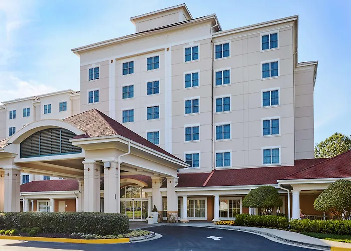 Sonesta Atlanta Airport SouthAirport Hotel